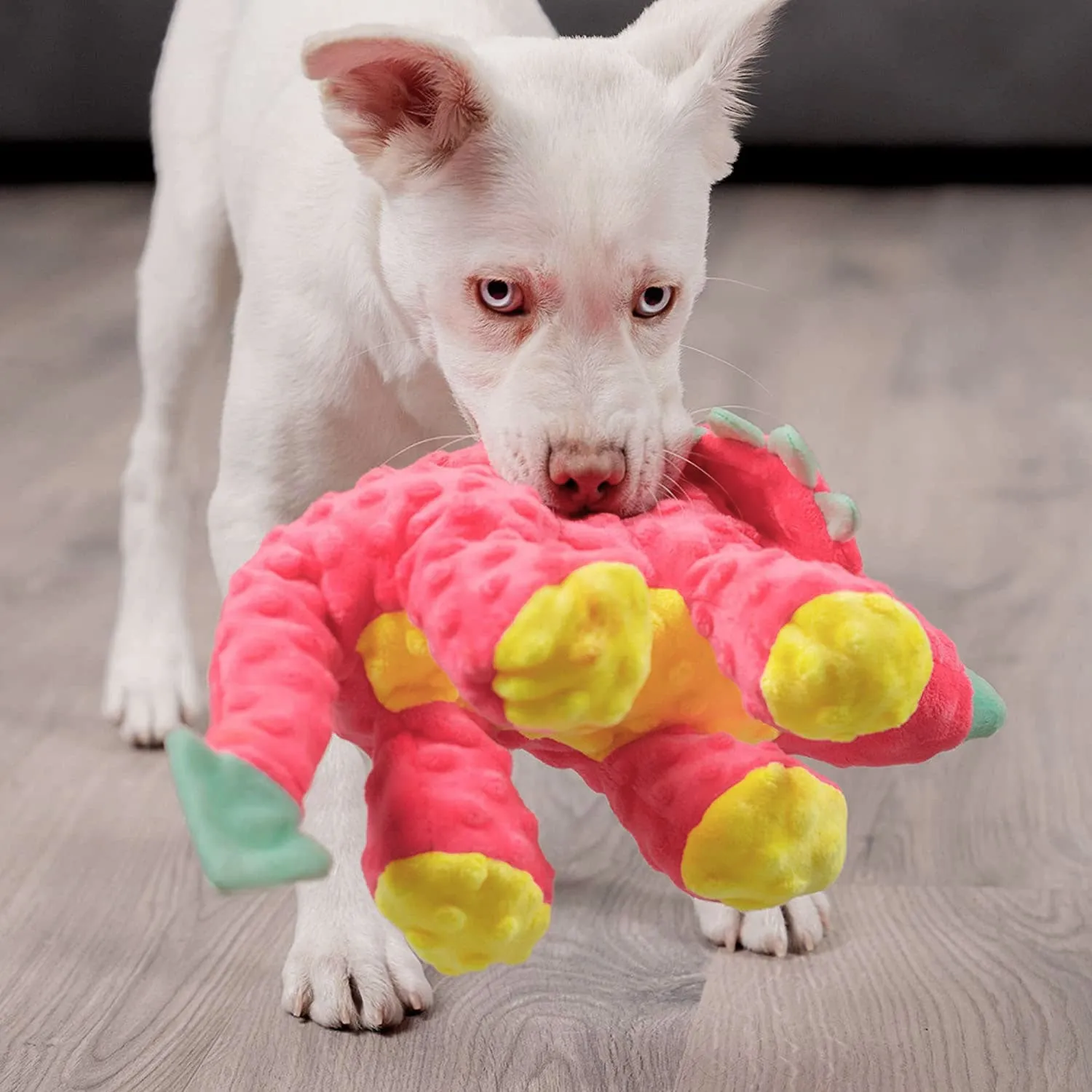 GoDog's Large Pink Frills Triceratops